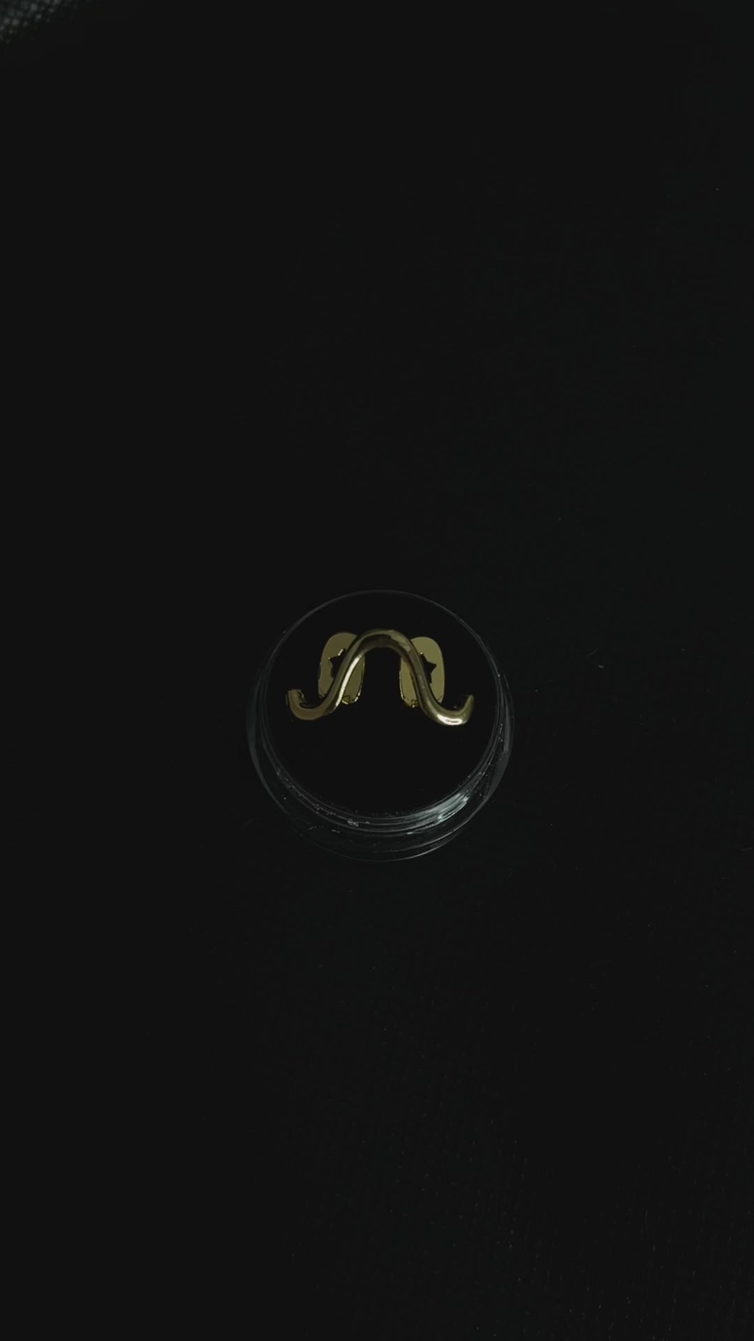 GRILLZ “snake”